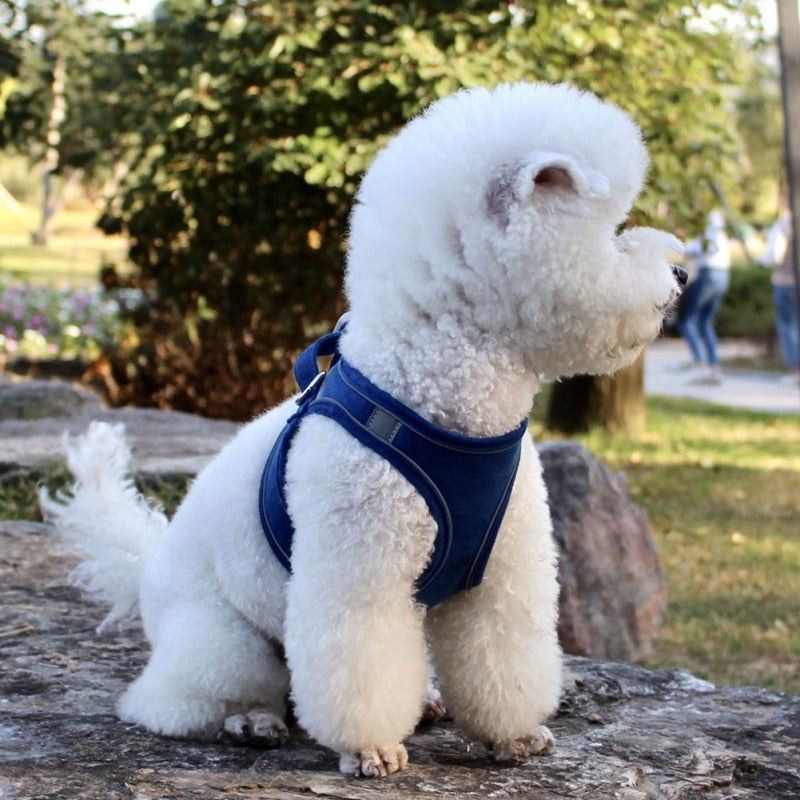 Arnes de peito com coleira refletiva ajustável para cães pequenos e medio